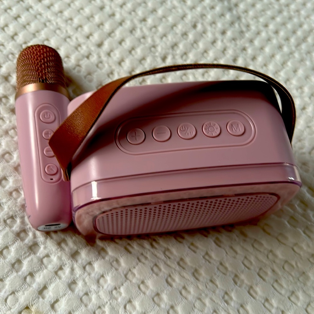 Mini portable speaker & microphone set